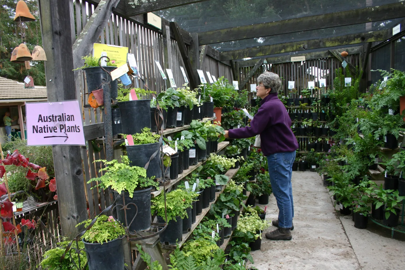 Fall Plant Sale Pre-Sale event, 2006