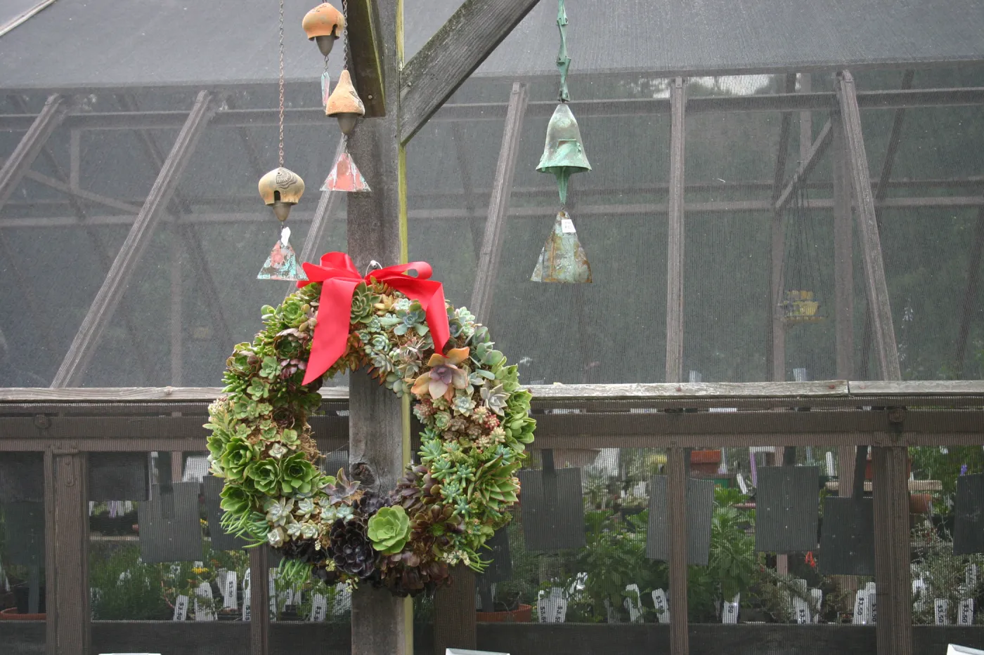 succulent wreath, bell chimes, Fall Plant Sale Pre-Sale event, 2006