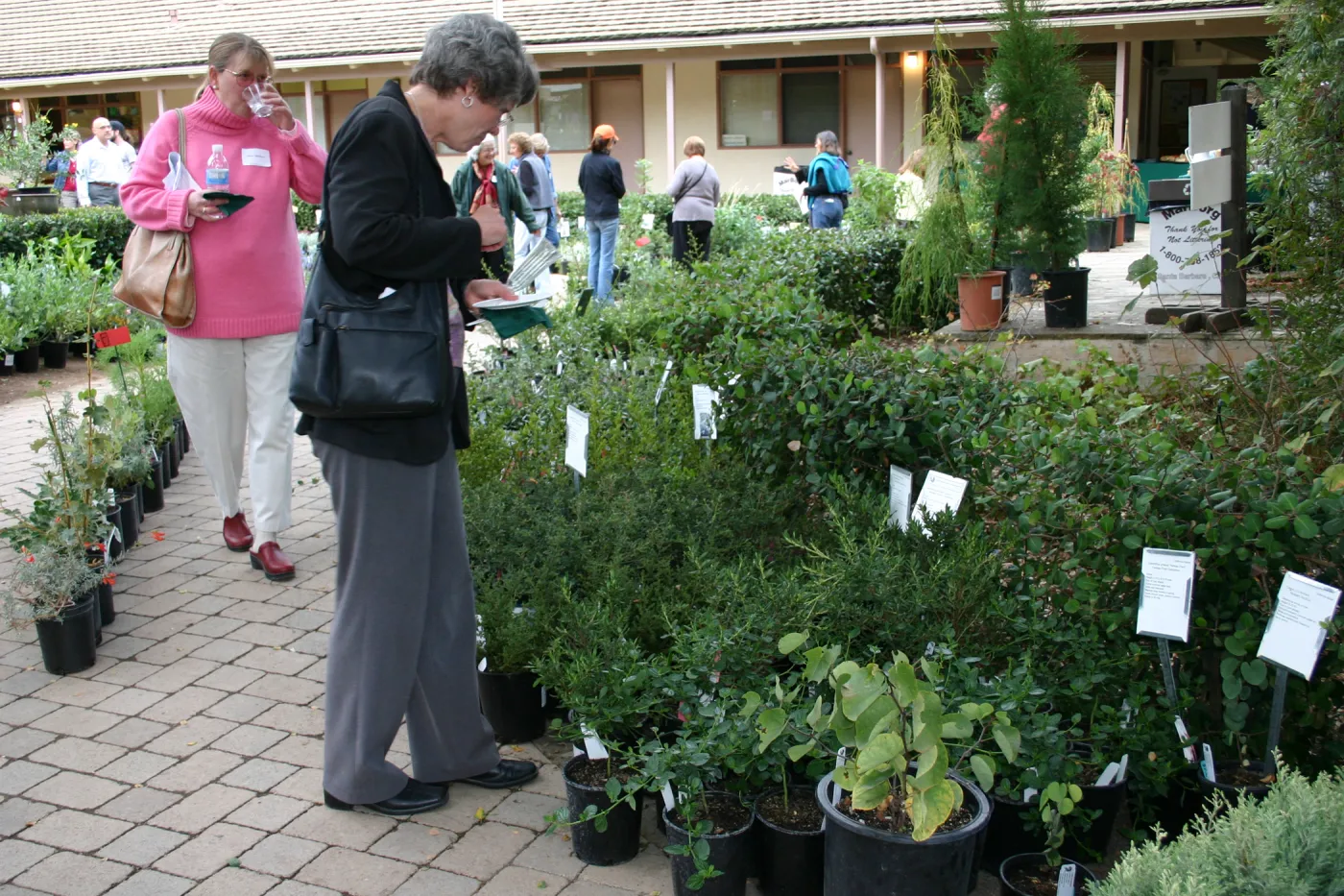 Fall Plant Sale Pre-Sale event, 2006