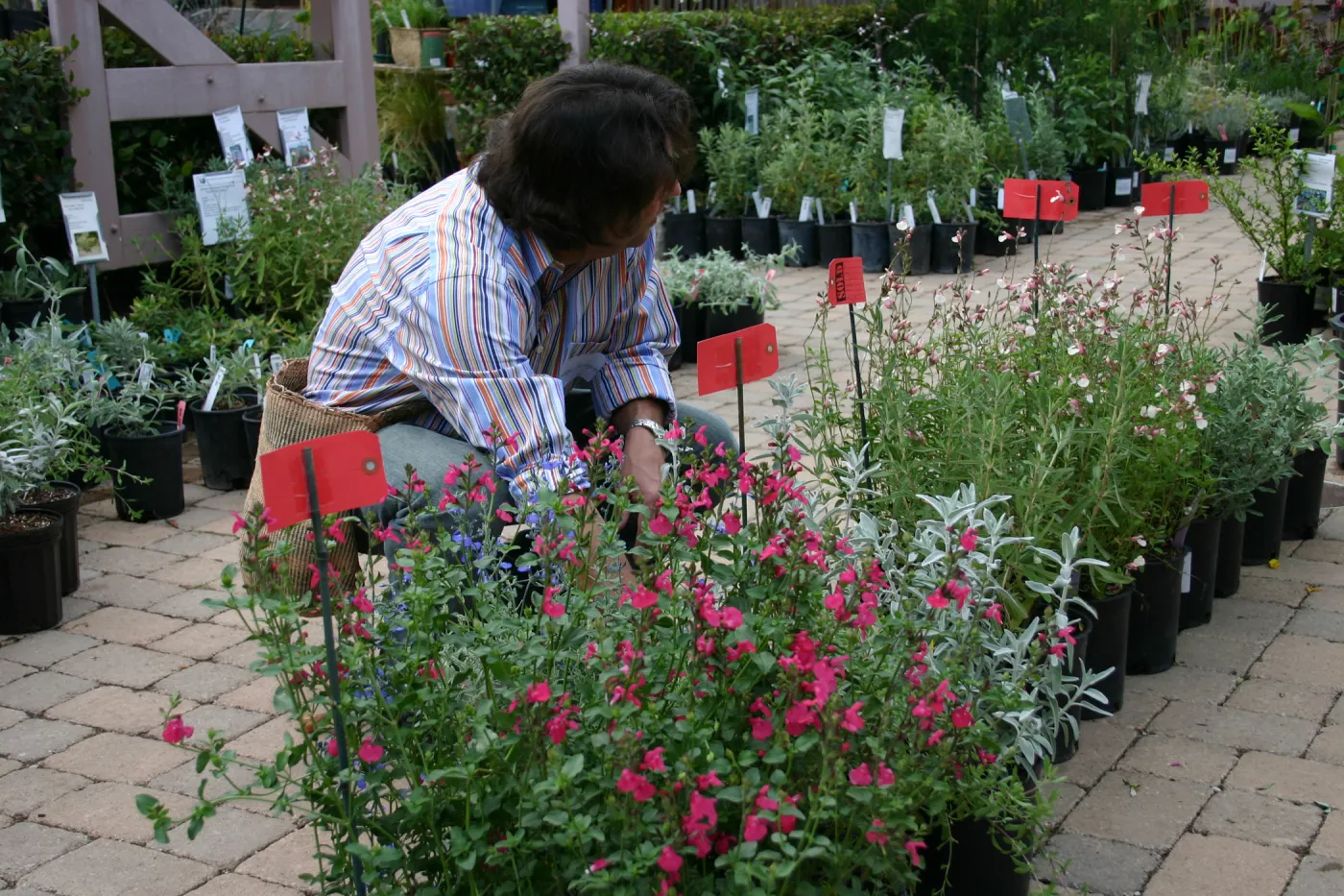 Fall Plant Sale Pre-Sale event, 2006