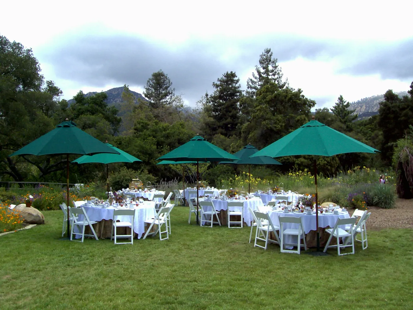 event set up in the Meadow, High Tea in the Garden