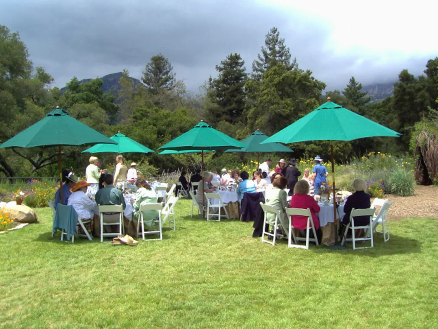 event set up in the Meadow, High Tea in the GardenHigh Tea in the Garden