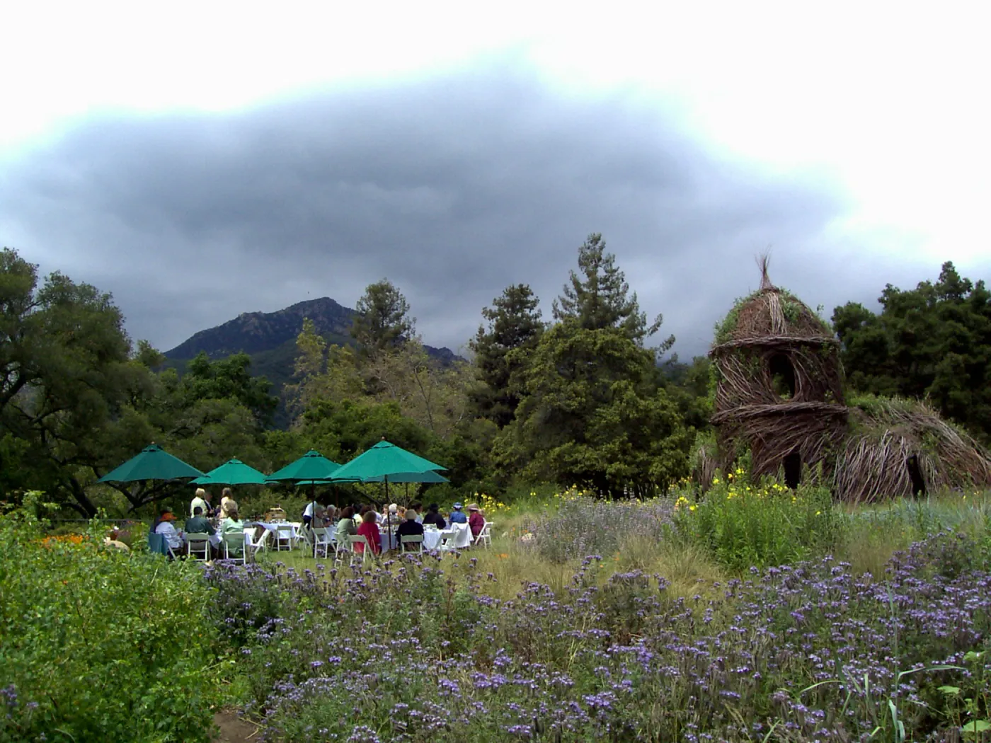 event set up in the Meadow, High Tea in the Garden