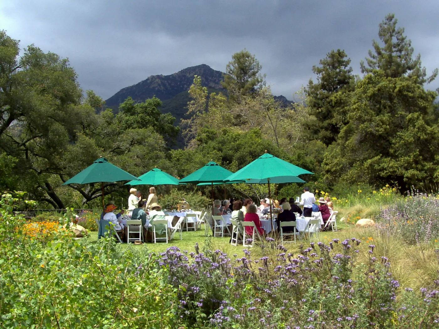 event set up in the Meadow, High Tea in the GardenHigh Tea in the Garden