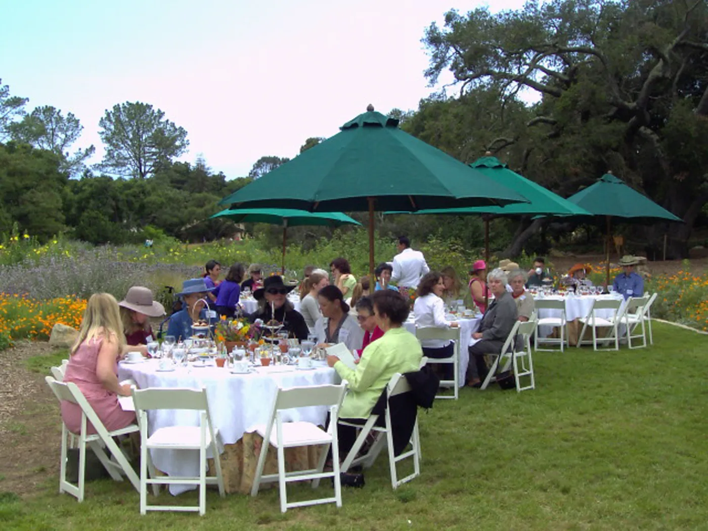 High Tea in the Garden