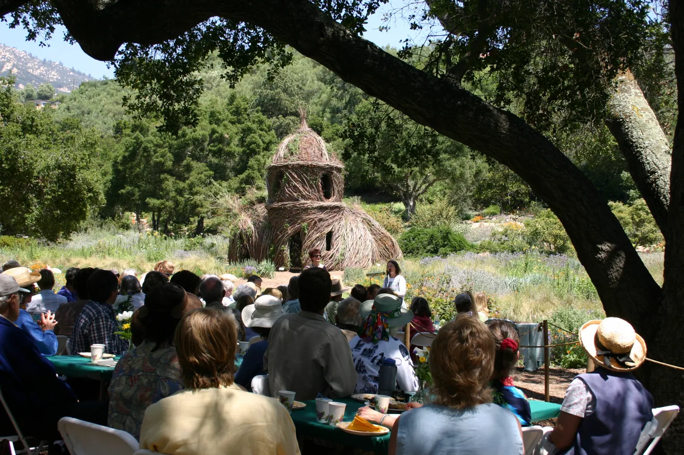 Volunteer Luncheon, 2005, under the oaks