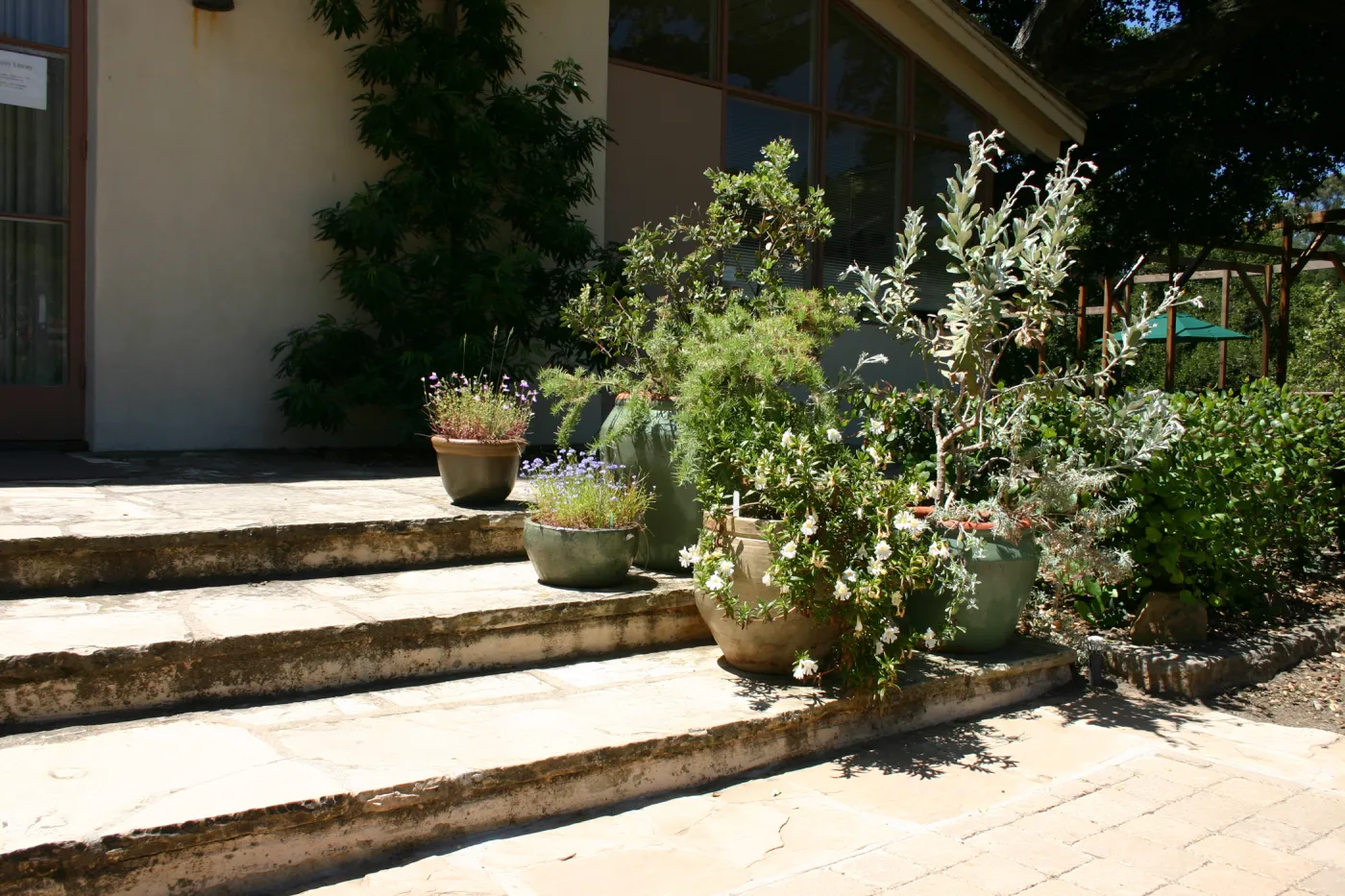 container garden, potted plant