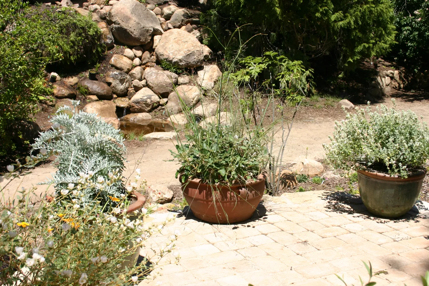 container garden, potted plant