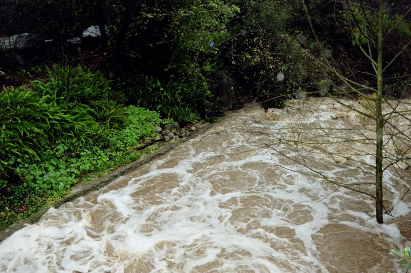 flood and storm debris at Mission Dam, Mission Creek