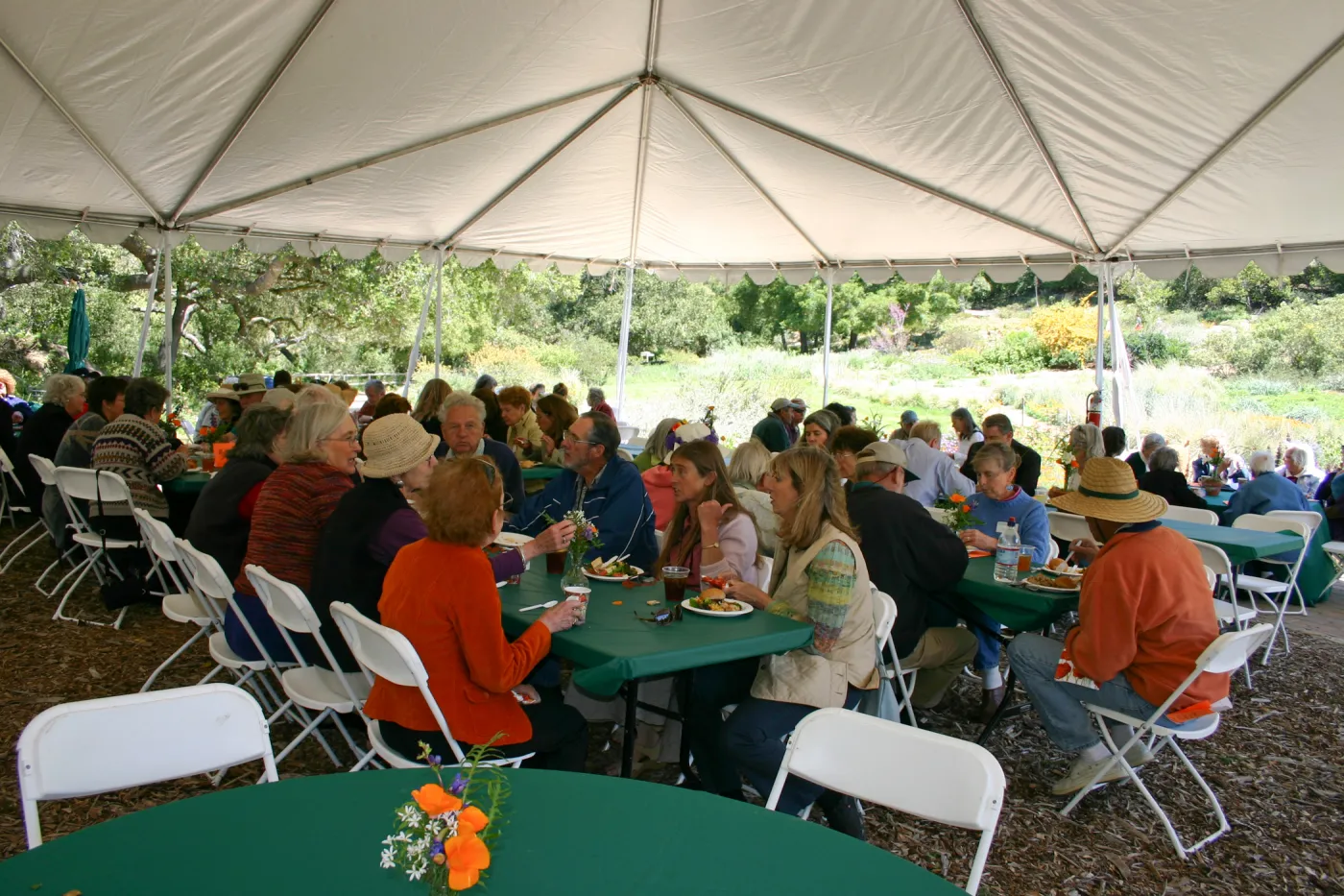 Volunteer Luncheon, 2007