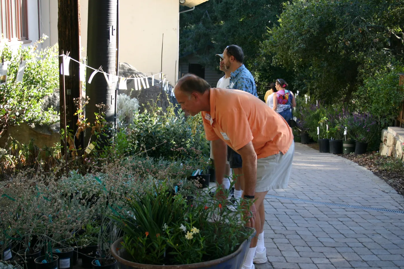 shopping at the Fall Plant Sale, 2005