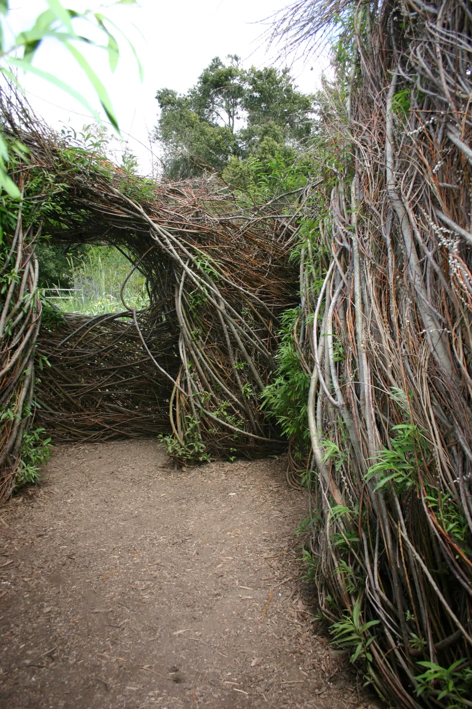 Toad Hall, interior