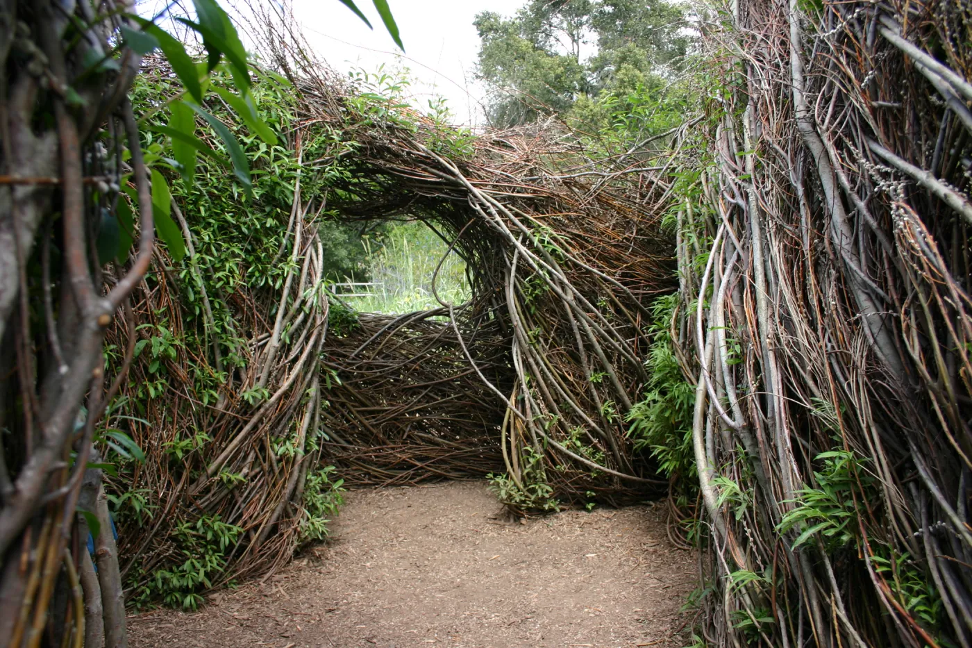 Toad Hall, interior