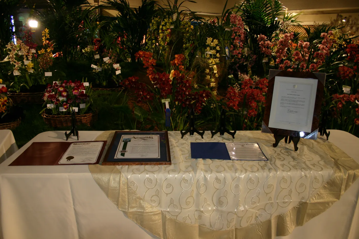 Orchid Dinner, 2006