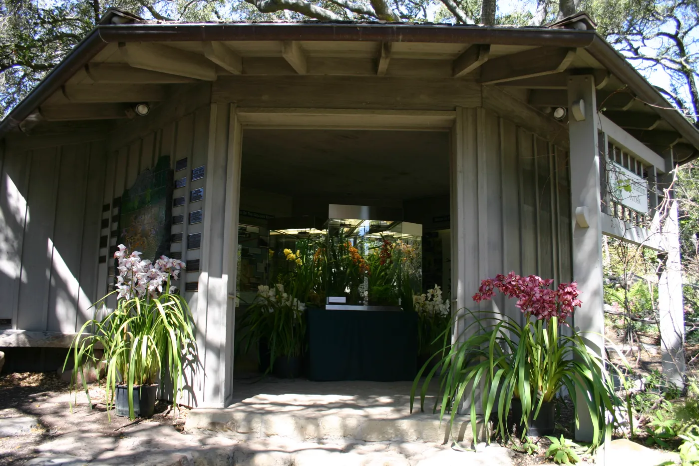 Orchid Display in the Information Kiosk