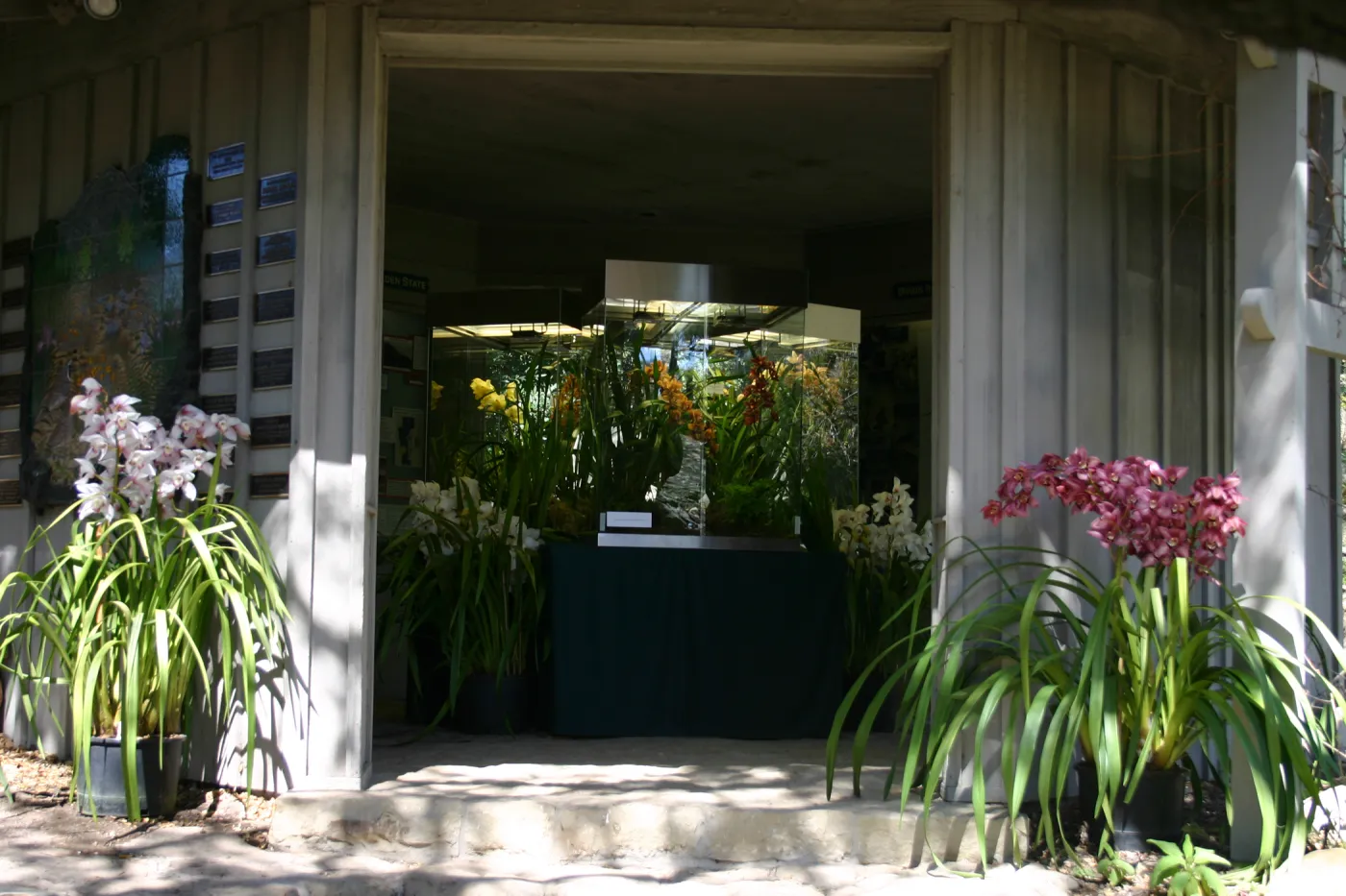 Orchid Display in the Information Kiosk