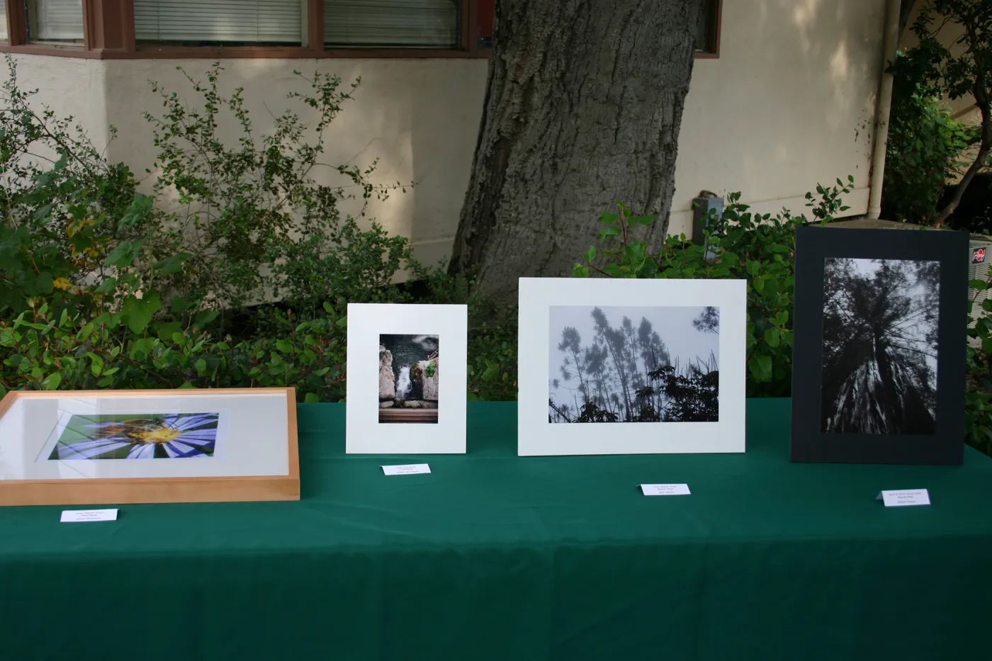 SCAPE Reception at SBBG
