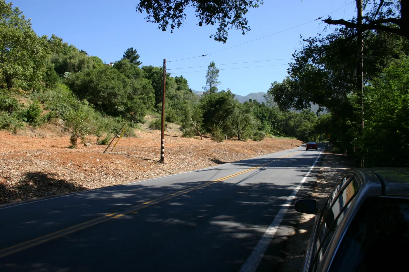 Mission Canyon Road after removal of Eucalyptus trees