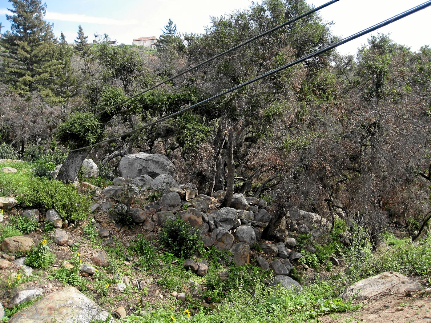 View south from flat by Tunnel gate post fire