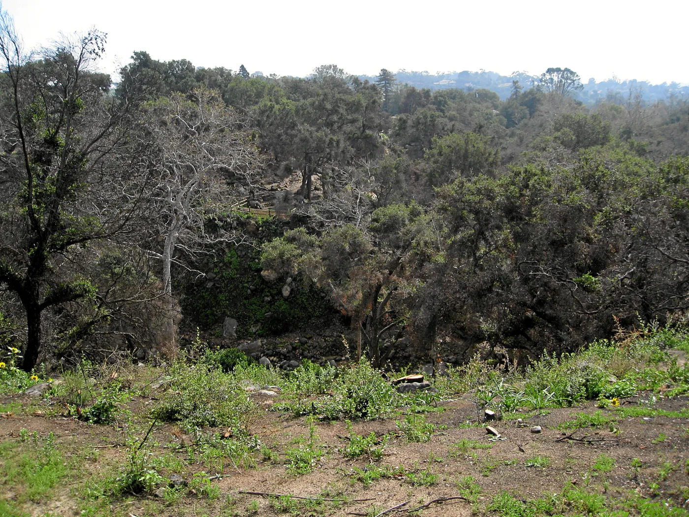 View south from flat by Tunnel gate post fire