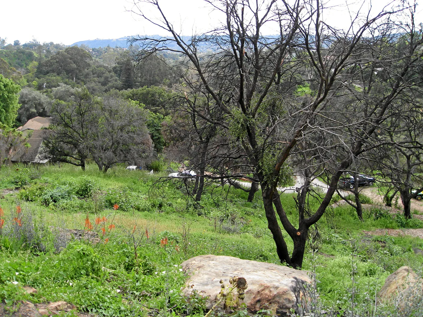 Looking south from Gane house site to staff residences