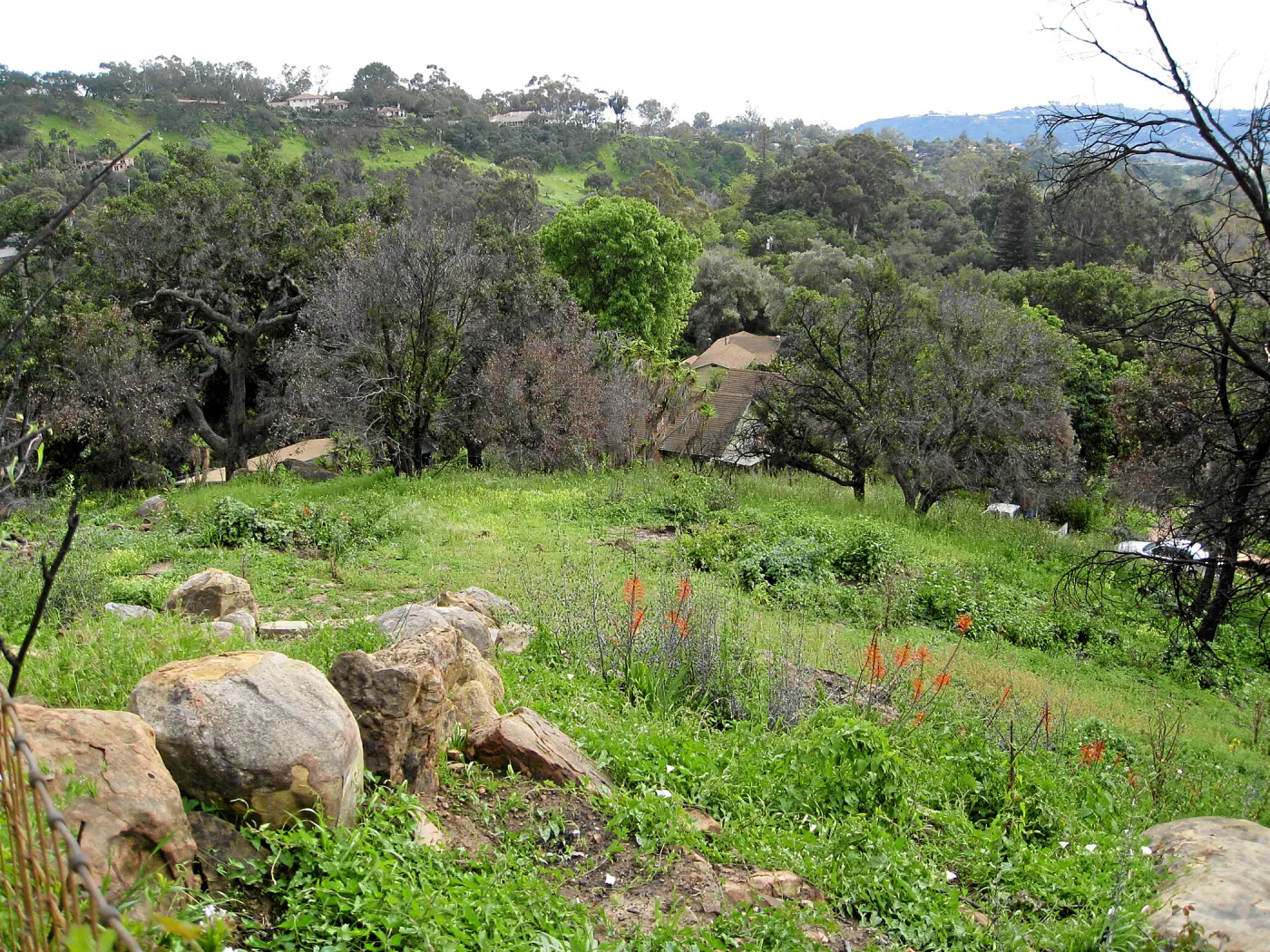 Looking south from Gane house site to staff residences