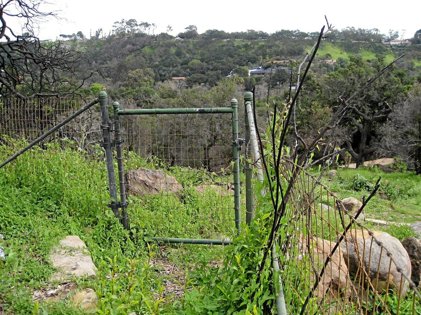 Looking south from Gane house site to staff residences