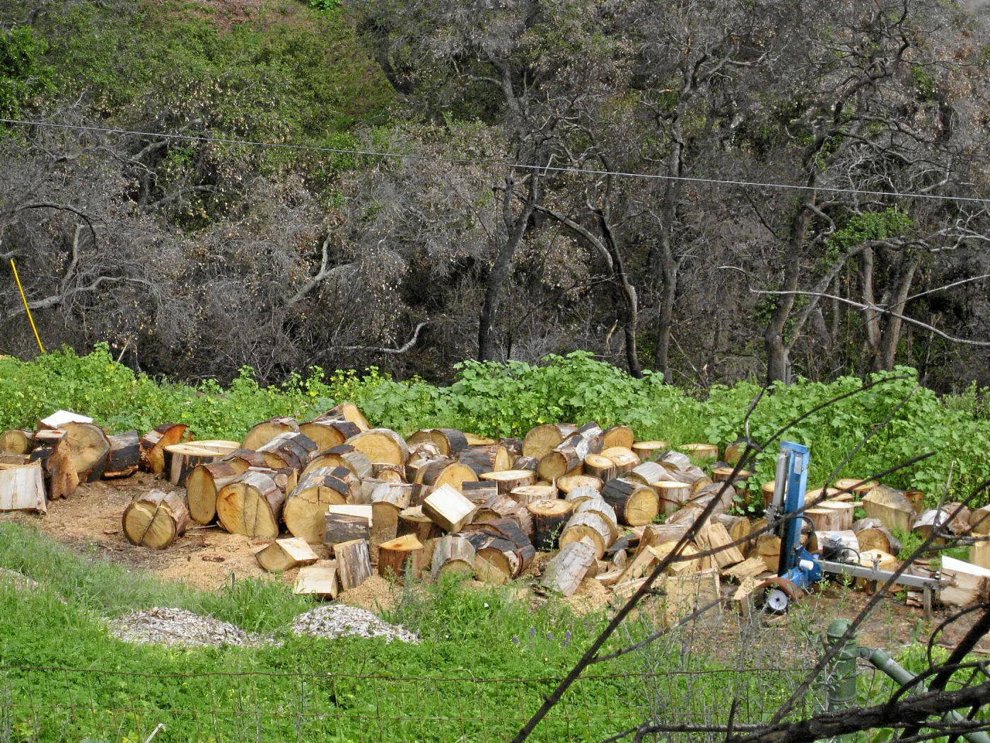 Log splitter at work east of Gane house site