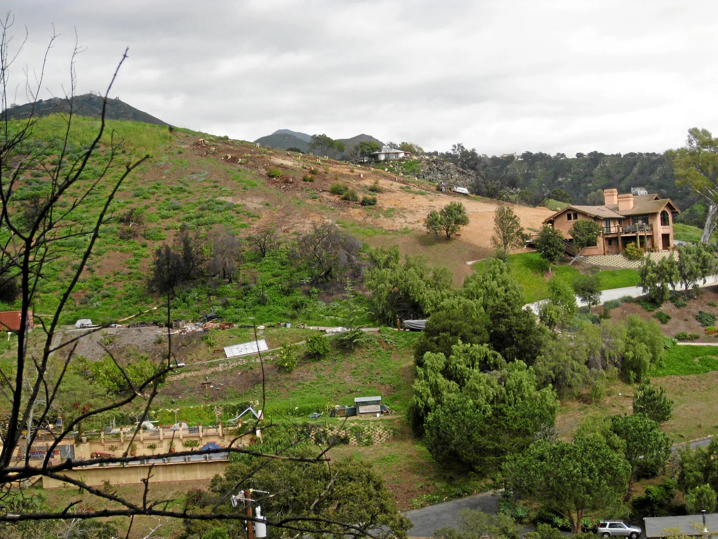 Looking east from Gane house site post fire