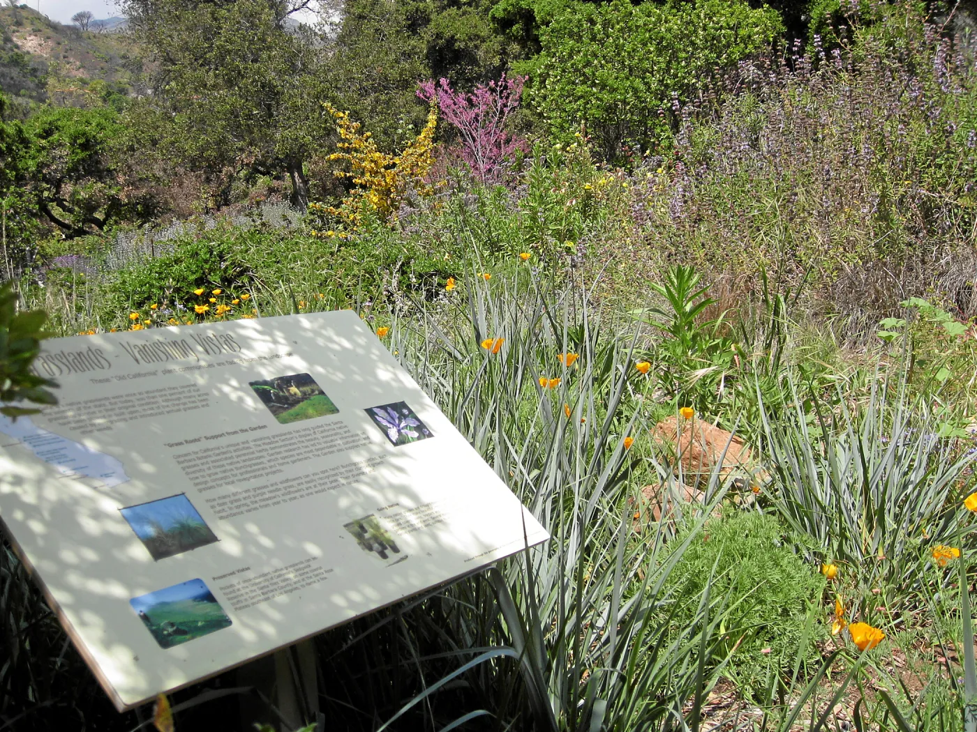 Grasslands sign on upper east side of Meadow