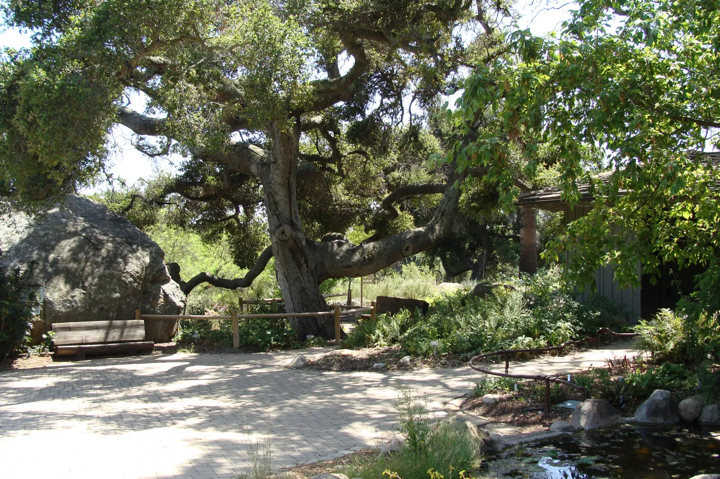 view from Meadow pond, Blaksley Boulder, Information Kiosk, SBBG 2 years after the Jesusita Fire