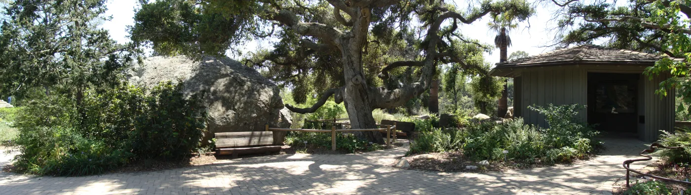 view from Meadow pond, Blaksley Boulder, Information Kiosk, SBBG 2 years after the Jesusita Fire