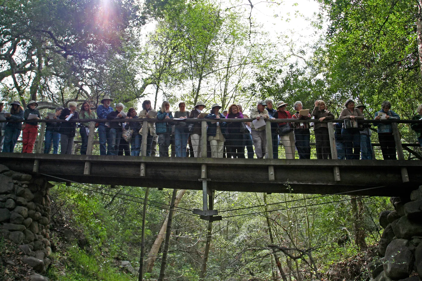 SBBG Docents on the Campbell Bridge, view of bridge span across Mission Creek
