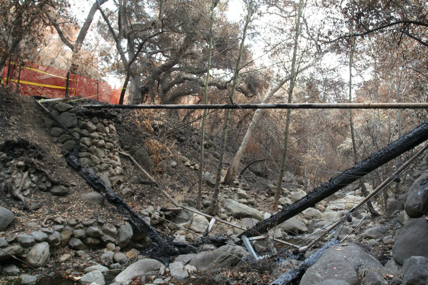 SBBG Fire Walk in the Garden, one month after Jesusita Fire, view of Campbell Bridge span across the Mission Creek