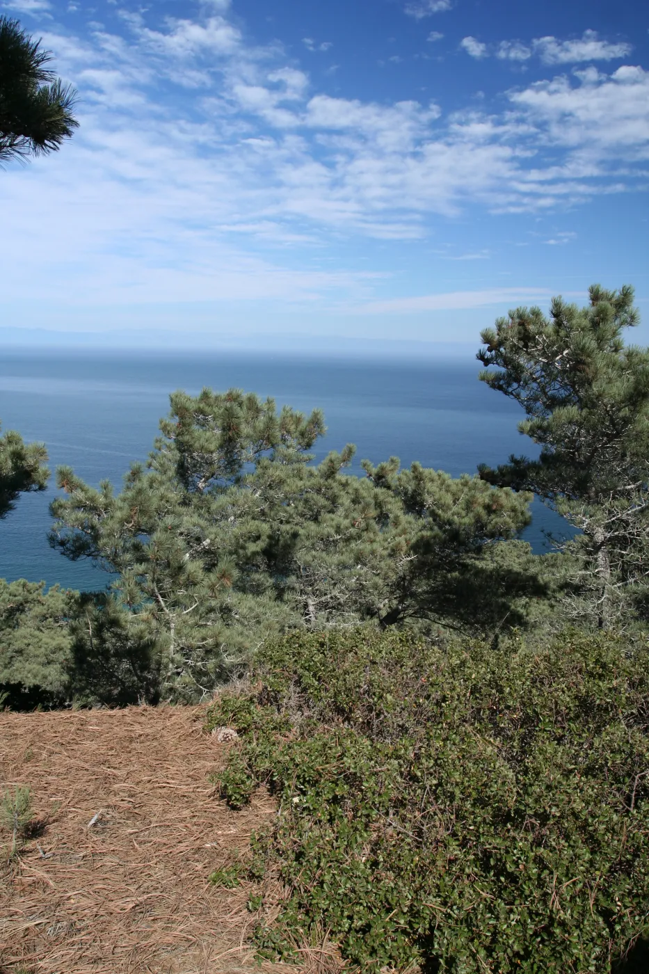 Santa Rosa Island, SBBG field trip