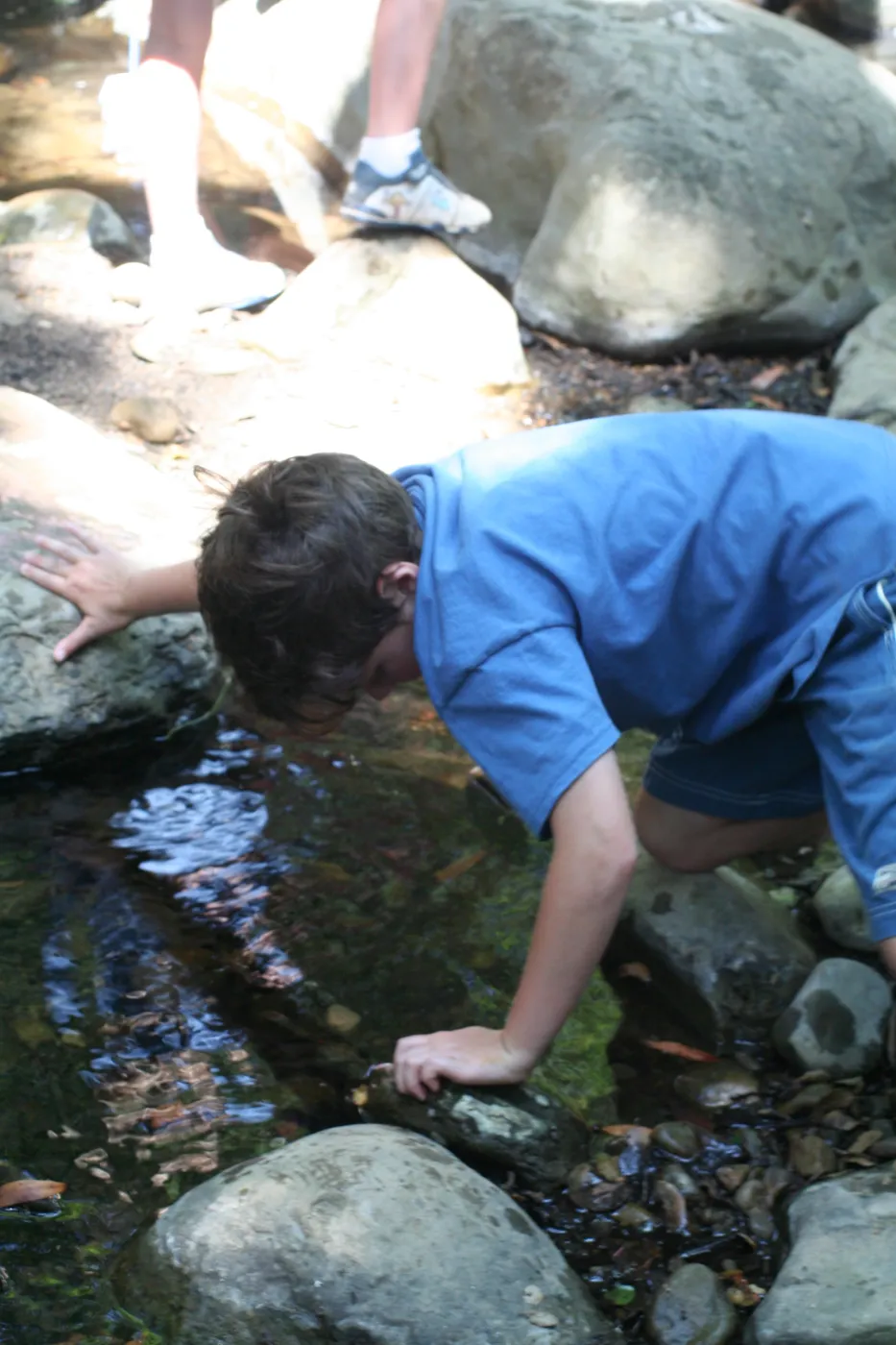 exploring Mission Creek, SBBG Summer Nature Camp, 2006