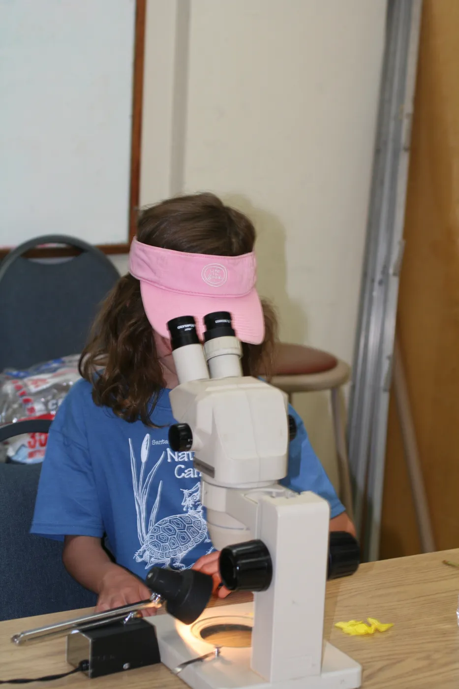 using microscopes in the Arroyo Room, SBBG Summer Nature Camp, 2008