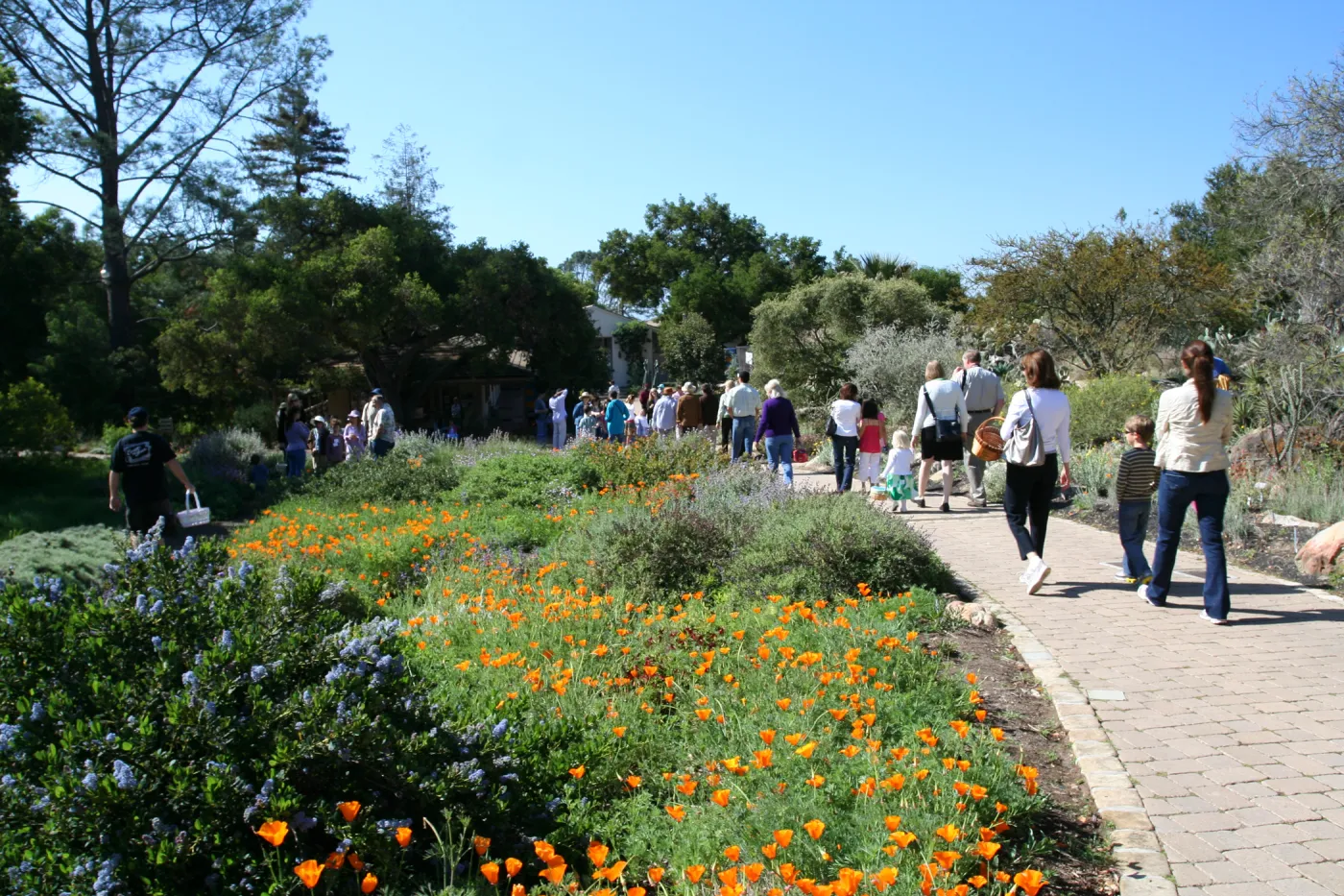 SBBG Egg Hunt, 2009