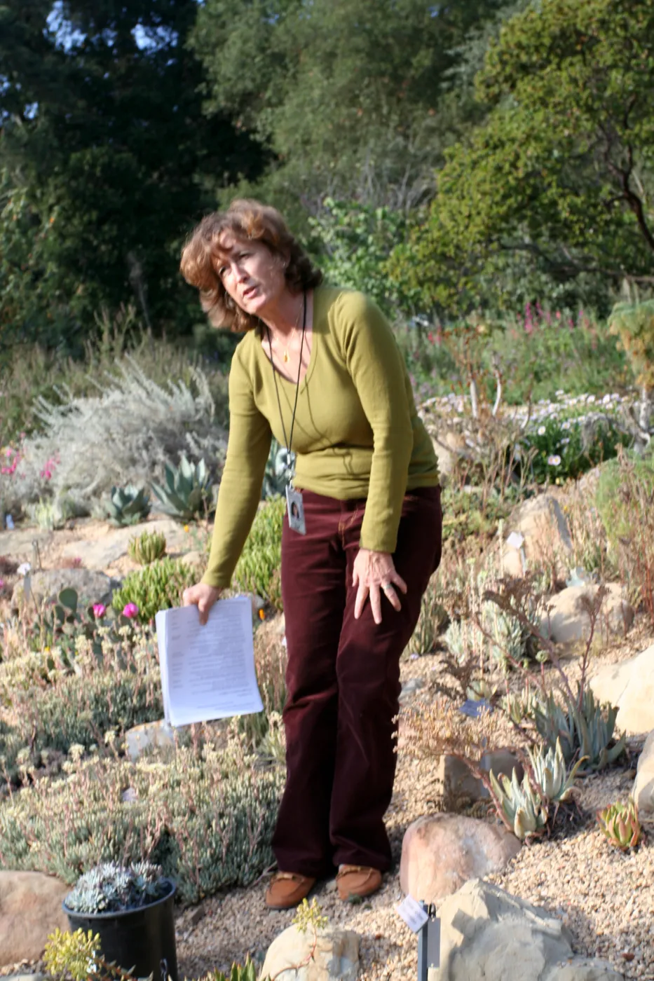Betsy Collins leads a tour of the Dudleya Display for docents at SBBG 