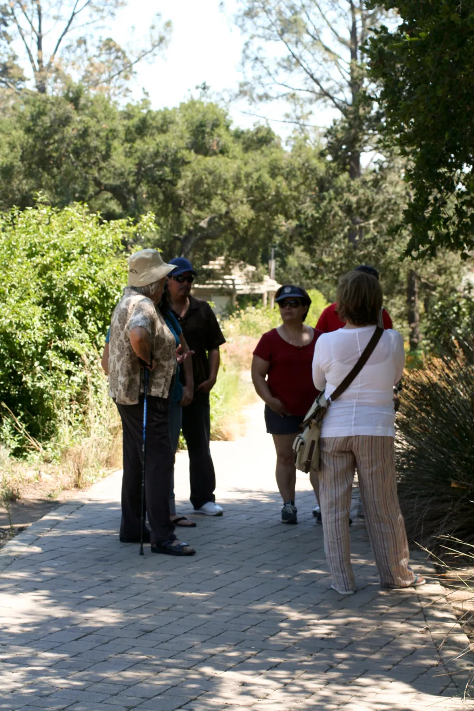 Adult Tour, SBBG Docent Tour