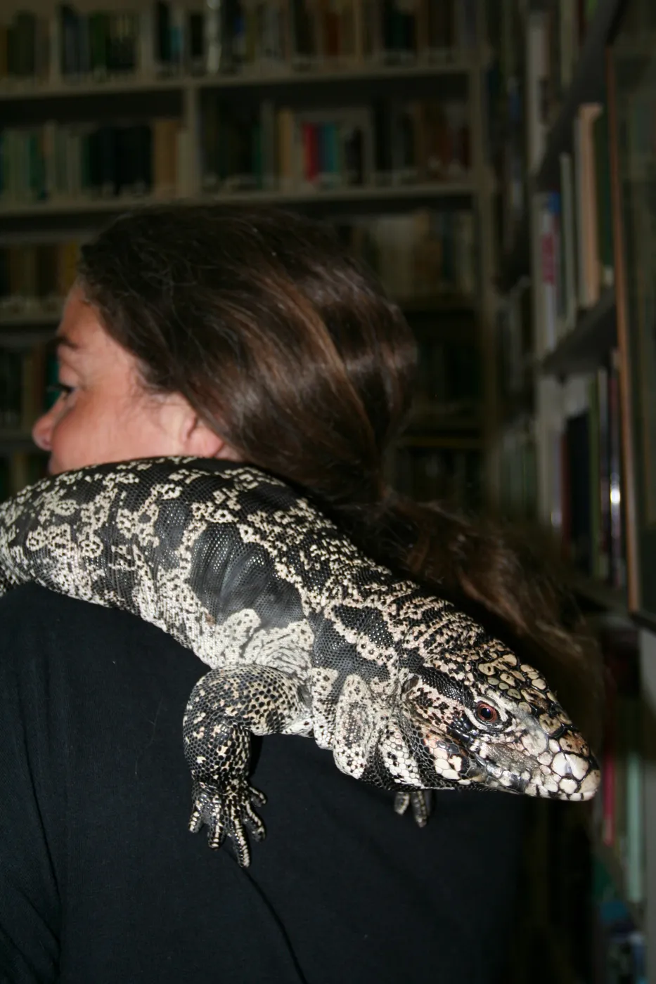 reptiles in the Blaksley Library, SBBG Summer Nature Camp, 2009