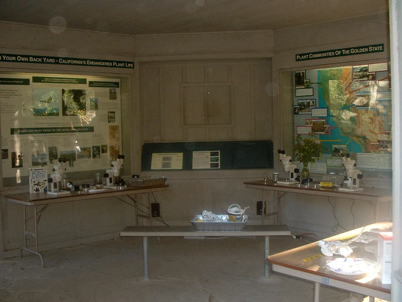 interpretive display tables in the Information Kiosk, Great Garden Nature Night, SBBG, 2003