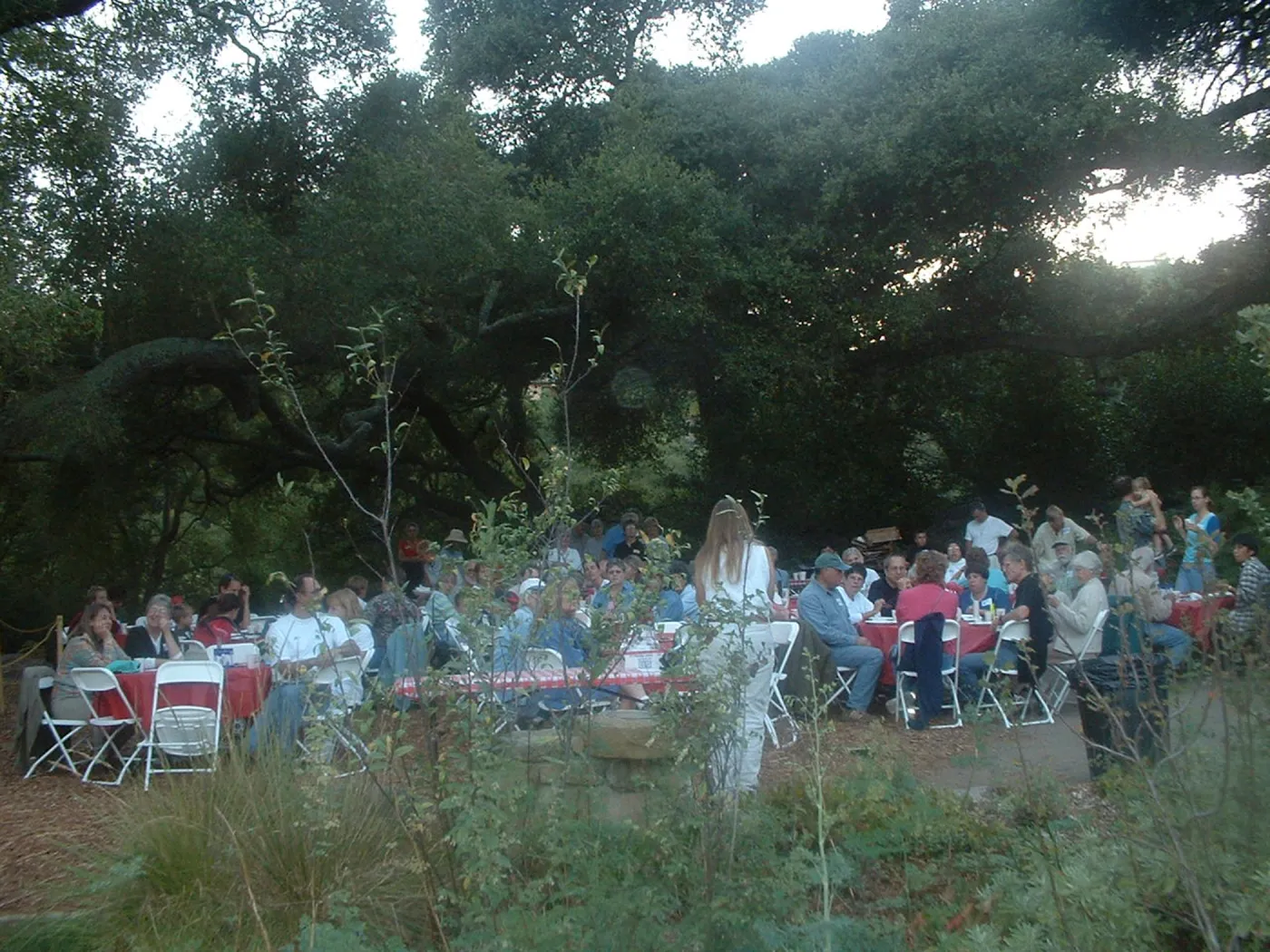 Great Garden Nature Night, SBBG, 2003