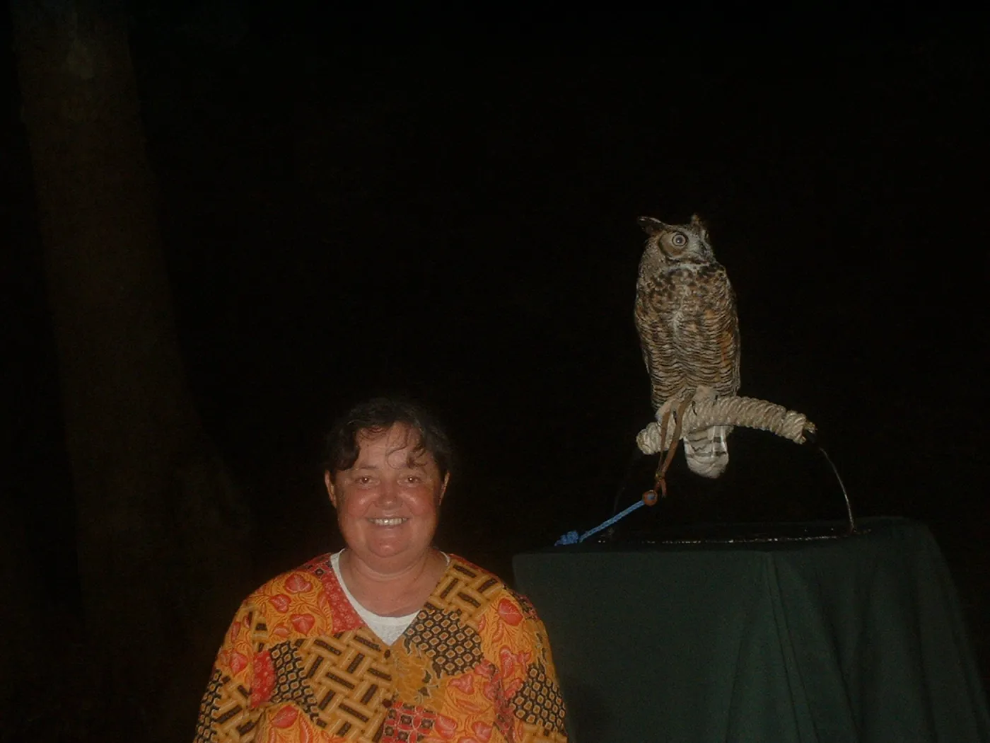 owl, Great Garden Nature Night, SBBG, 2003