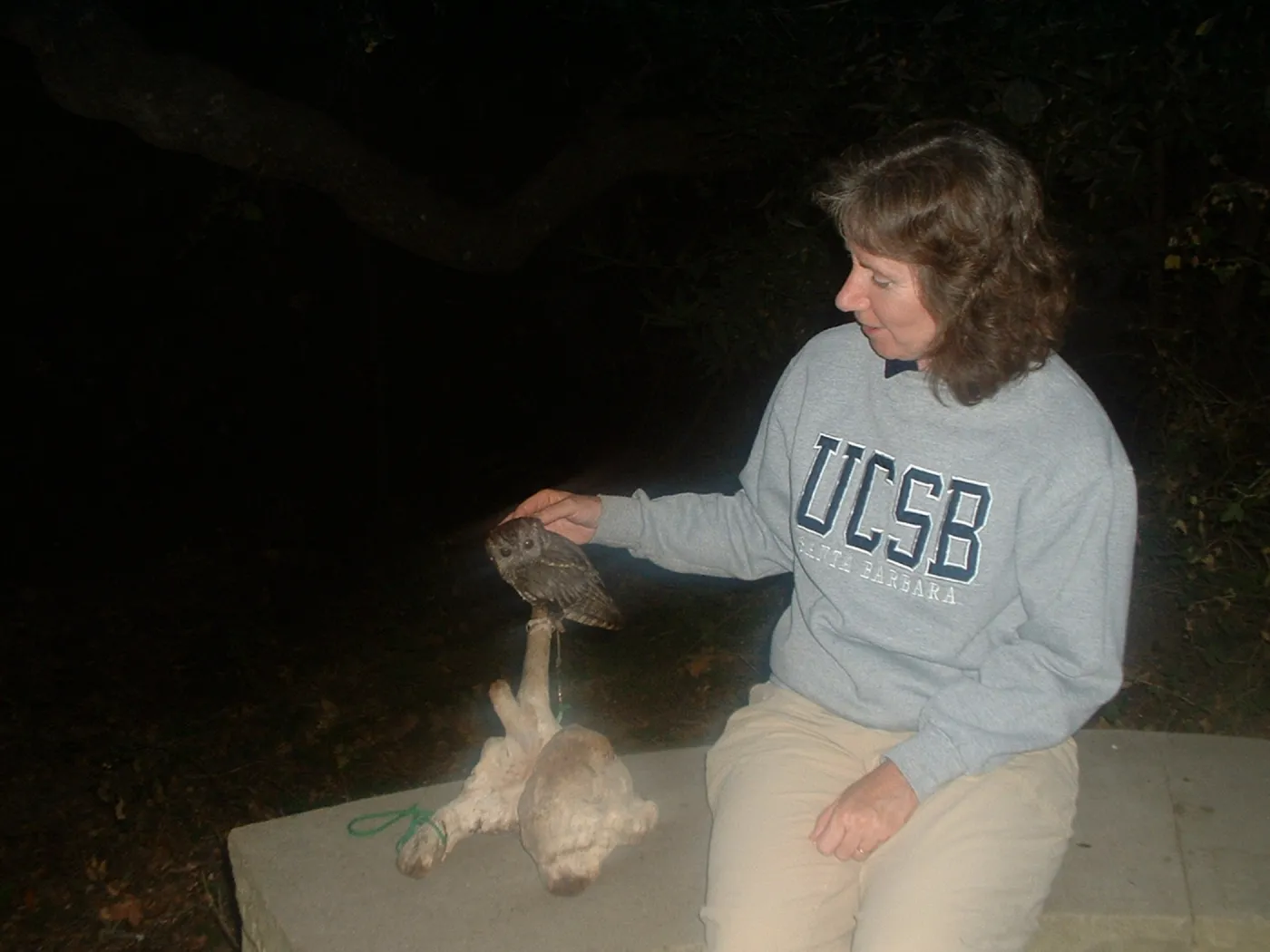 owl, Great Garden Nature Night, SBBG, 2003
