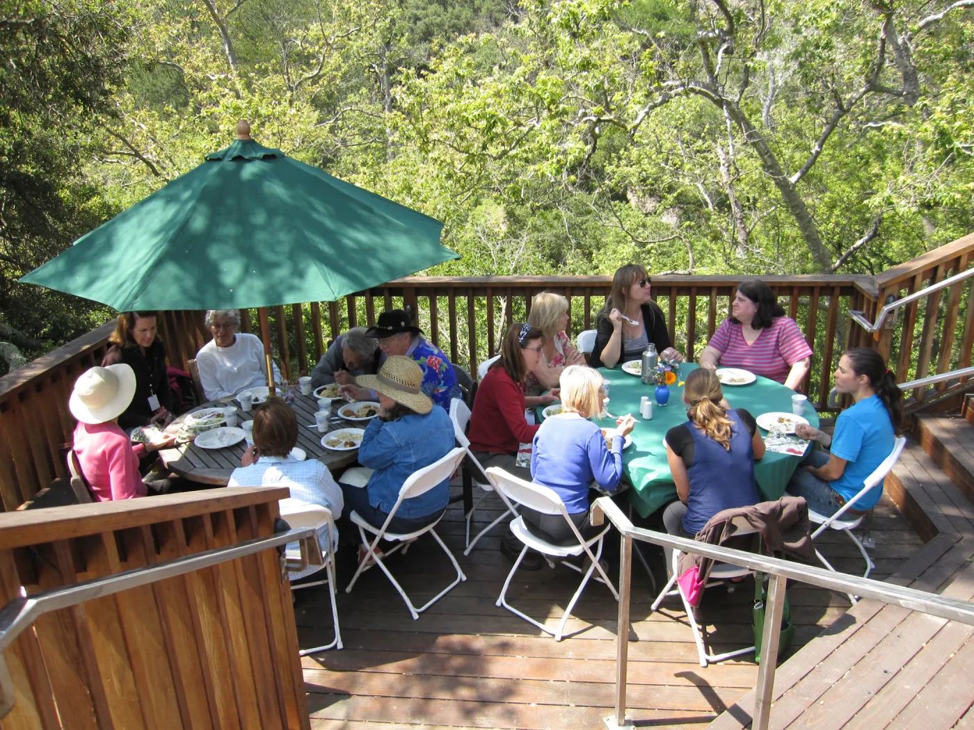 SBBG Volunteer Luncheon, 2011