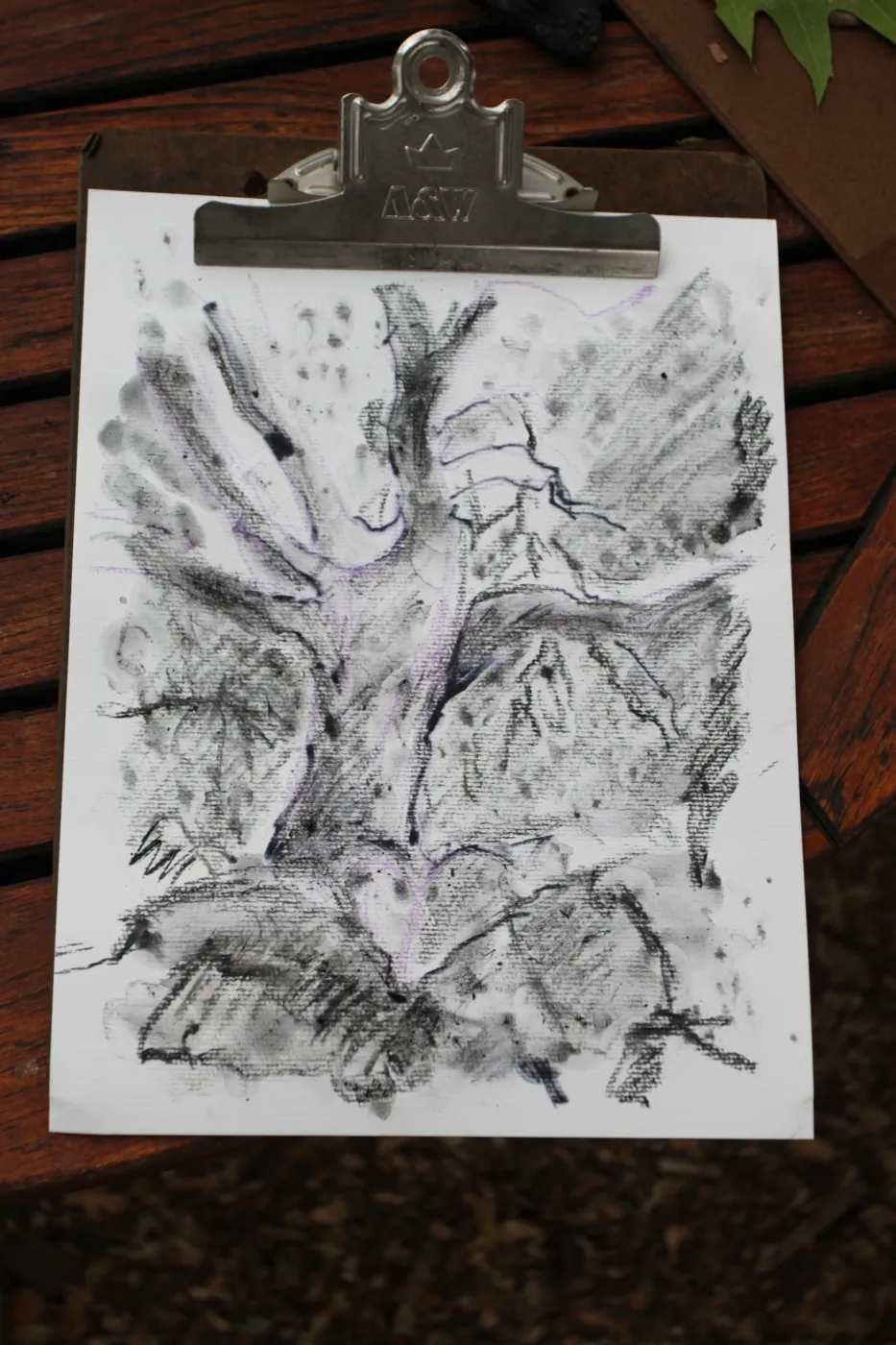 charcoal drawings activity, Art from Ashes event, SBBG