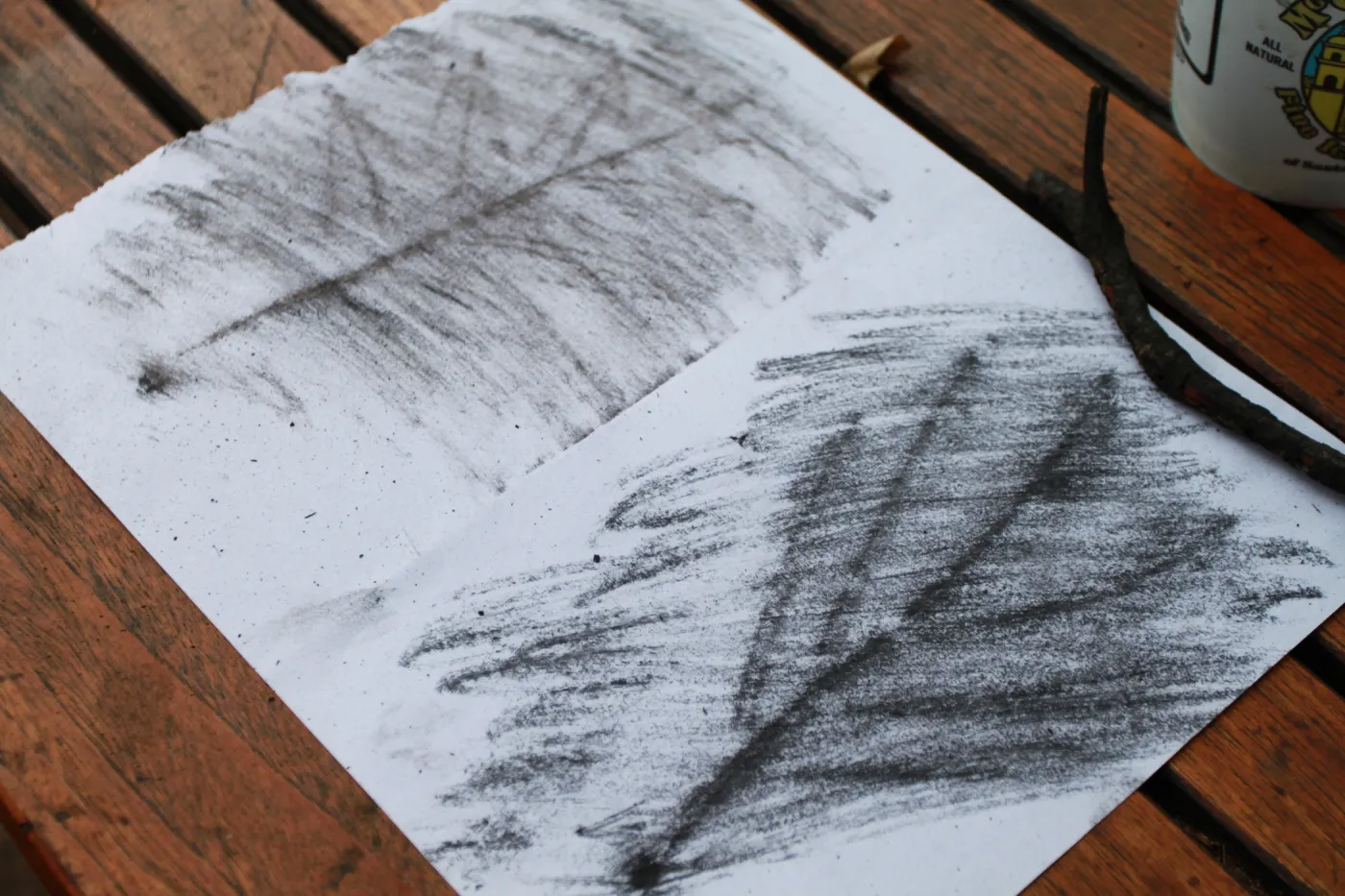 charcoal drawings activity, Art from Ashes event, SBBG