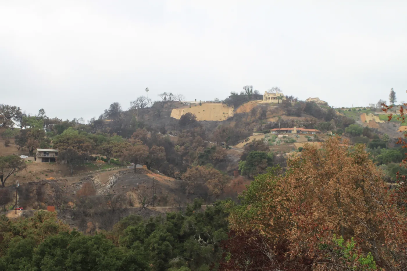 view to home sites on Tunnel Road ridge, Art from Ashes event, SBBG
