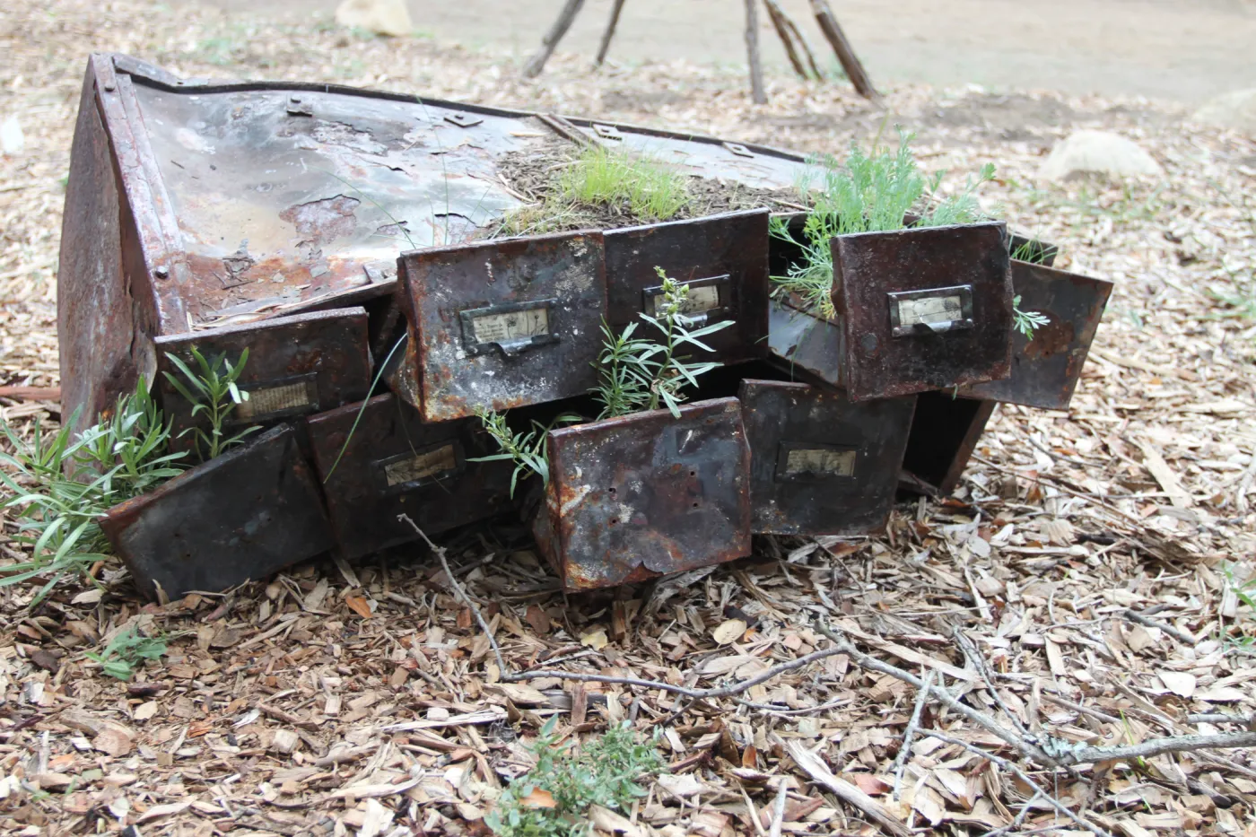 file cabinet planter, art exhibit, Art from the Ashes event, SBBG